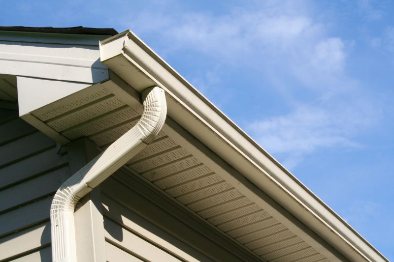Roof and Gutter Combo Services